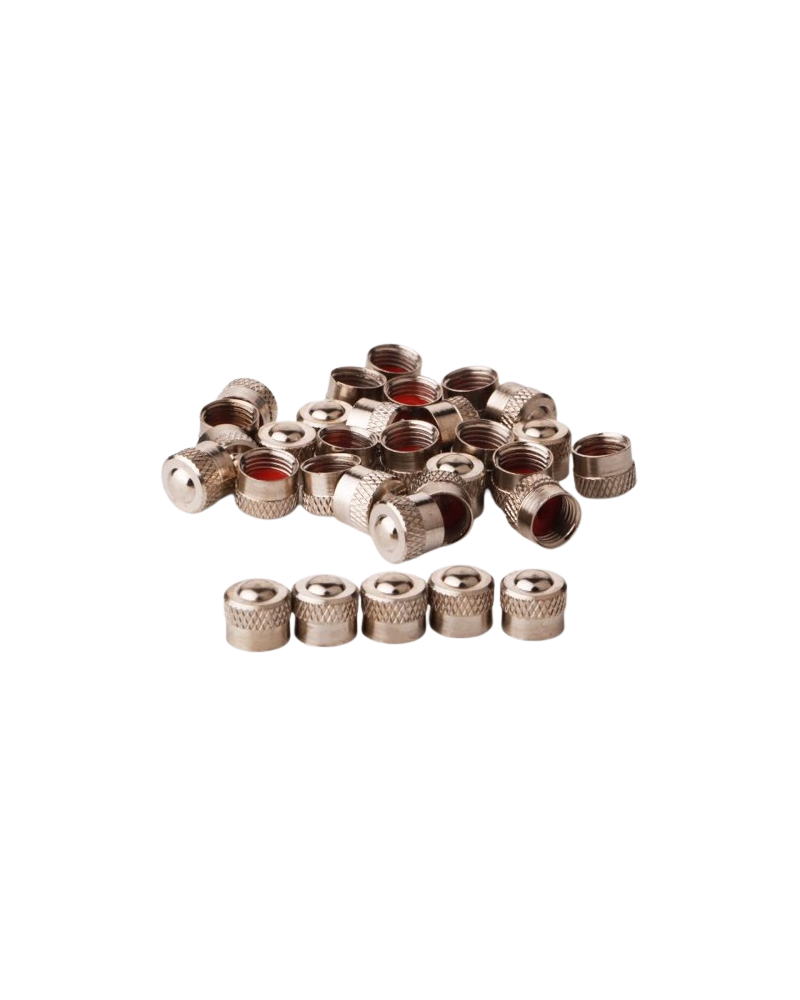 BOUCHON DE VALVE VCS-A METAL N2